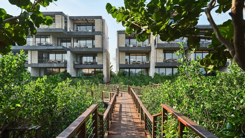 Etéreo's residences seen from a wooden boardwalk through the mangroves